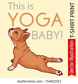 Poster - this is yoga baby. Advertising studio yoga banner, leaflet, flyer. Puppy French bulldog makes snake pose. Little puppy does yoga bhujangasana. Isolated vector illustration on white background