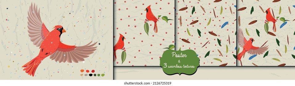 Poster and three seamless patterns from collection with blue jay and red cardinal birds. 