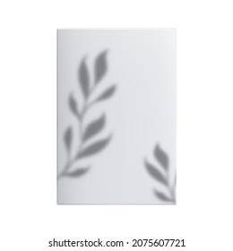 Poster With Tree Leaves Shadow Hang On Wall Vector. Elegant Style Blank Poster Page Sheet Decorated Plant Branch. House Or Office Interior Decoration Template Realistic 3d Illustration