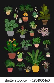 Poster Tropical plants in pots home decor. Vector drawings of flat flowers. Black color