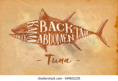 Poster tuna cutting scheme lettering cheek, kama, abdomen, back, tail in retro style drawing on craft paper paper background