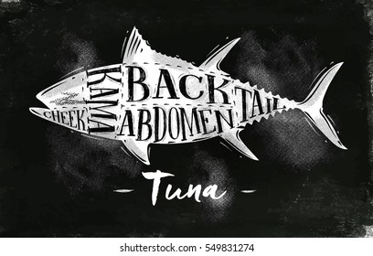 Poster tuna cutting scheme lettering cheek, kama, abdomen, back, tail in vintage style drawing with chalk on chalkboard background