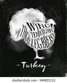 Poster turkey cutting scheme lettering wing, tenderloin, thigh, leg, breast in vintage style drawing with chalk on chalkboard background