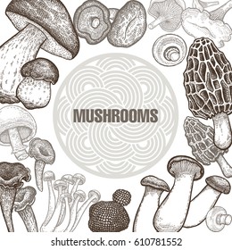 Poster with variants of mushrooms. Vector illustration art. Black and white. Old engraving. Vintage. Template for the cover or signboard of shop, market, packaging design, advertising.