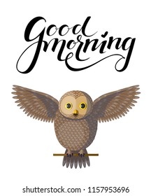Poster with vector brown owl sitting on a branch with lettering good morning above. Isolated bird on white background. Originally designed character, vector barred owl spreading wings.