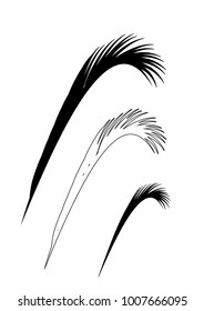 Poster with the vectorized drawing of a palm leaf and the written phrase "sunday palm", vector.