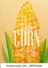 Poster watercolor lettering sugar corn always organic drawing on kraft paper