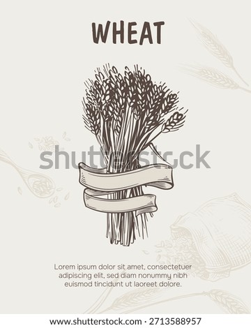 Poster for the website. Wheat malt for beer or whiskey production. Vector illustration in a vintage engraving style. Wheat wreath with ribbon. Canvas sack with grain. 
Single malt whisky. Engraving.