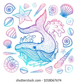 Poster with whale, seashells and starfishes. Marine background. Hand drawn vector illustration in doodle style. Sketch