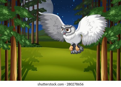 Poster of a white owl flying under full moon and stars