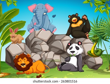 Poster of wild animals sitting together