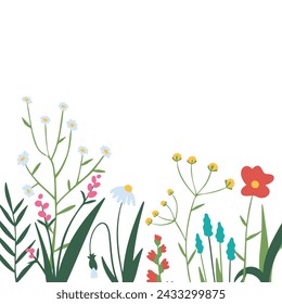 Poster with wildflowers, herbs in botanical style isolated on white. Banner template with floral elements and place for text. Summer bouquet for cards, greetings, invitation. Vector illustration