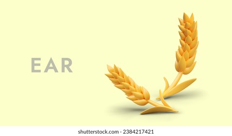 Poster with yellow wheat on yellow background. Harvesting period, ear. Organic wheat, bread agriculture and natural product. Vector illustration in 3d style with place for text