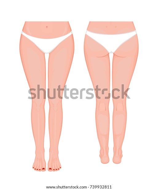 Posterior Frontal Anterior Back Views Sides Stok Vektör Telifsiz Shutterstock