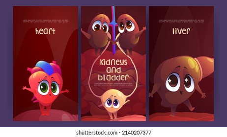 Posters with human internal organs, heart, liver, kidney and bladder. Vector banners with cartoon illustration of cute characters of body anatomy, urinary and cardiovascular system