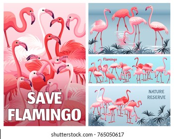 Posters nature reserve flamingo. Vector illustration.