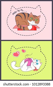 Posters with silhouette of big kitten head and hearts, white and brown cats playing with woolen thread ball, sleep in box, vector dedicated to cat day