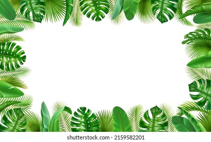 Poster mit tropischen 3D-realistischen Blättern, Rahmenhintergrund mit Sommergrün. Vektor grenzt an einen freien Platz für Text, florales Dschungelexotisches Laub von Monstera und Palmen Dekoration