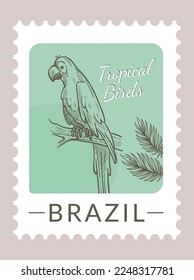 Postmark o postal con flora y fauna de Brasil. Aves tropicales y hojas follaje. Marca o tarjeta postal, carta postal y correspondencia. Esbozo monocromo. Vector de estilo plano