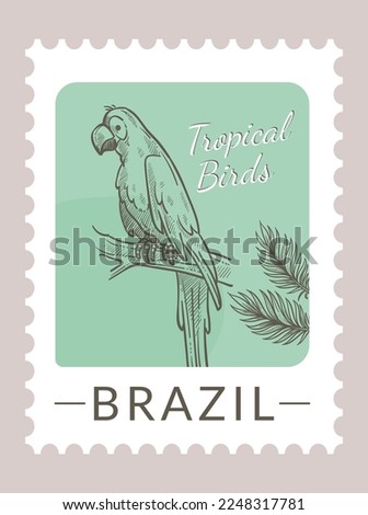 Postmark or postcard with flora and fauna of Brazil. Tropical birds and leaves foliage. Postal mark or card, mailing letter and correspondence. Monochrome sketch outline. Vector in flat style