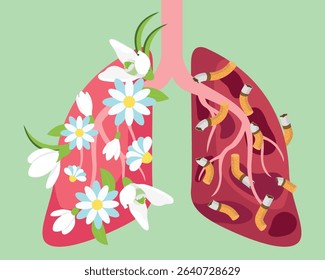 A posture about the harmfulness of smoking. Healthy lungs with flowers and sick lungs with cigarettes