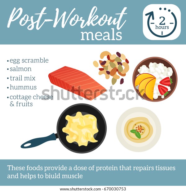 Postworkout Meals Poster Best Food After Stock Vector Royalty