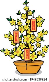 a pot of apricot blossom with many flowers on a happy lunar new year festival