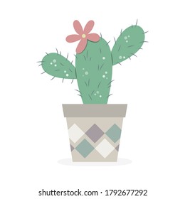 A pot of cactus plant vector illustration cartoon isolated on white background. Cactus flower vector.