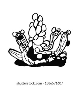 Сactus in pot. A children's sketch. Hand drawn, ink brush graphic of a succulent, vector cactus plant isolated on white background. Plant illustration for postcard, poster, banner. 