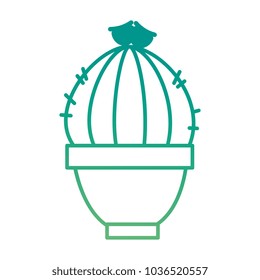 pot with desert plant