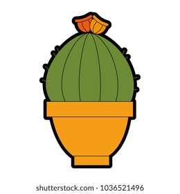 pot with desert plant