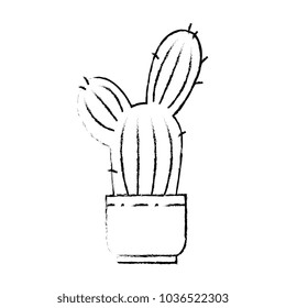 pot with desert plant