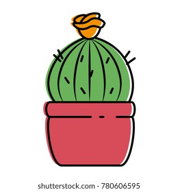 pot with desert plant