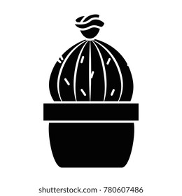 pot with desert plant