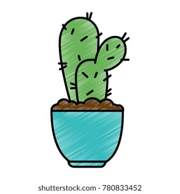 pot with desert plant