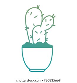 pot with desert plant