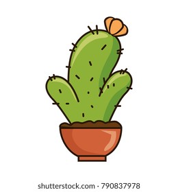 pot with desert plant