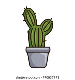 pot with desert plant