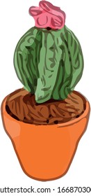 Pot Flower Cactus 13 Reductor