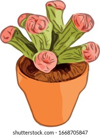 Pot Flower Cactus 3 Reductor