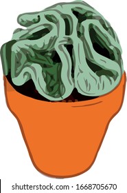 Pot Flower Cactus 8 Reductor