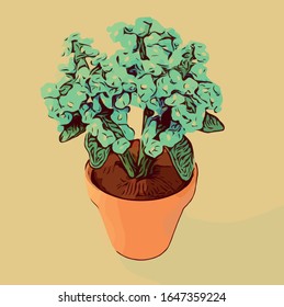 Pot Flower Forget me not Film Noir