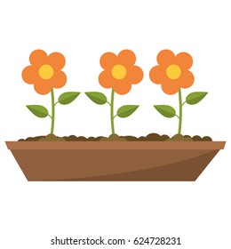 pot flower garden image