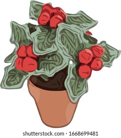 Pot Flower Holly Vector Reductor