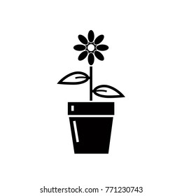 pot of flower icon