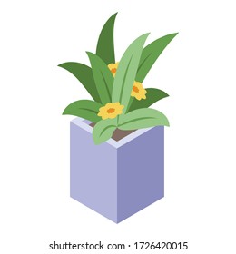 Icono de la flor de la olla. Isométrico del icono del vector de flor de olla para el diseño web aislado en fondo blanco