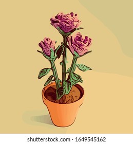 Pot Flower Rose Film Noir