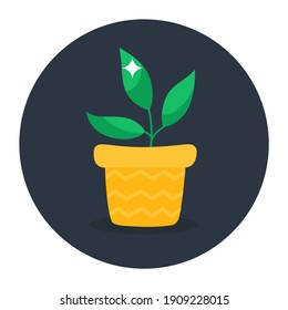 
Una olla de planta de flores podría ser una planta interior o exterior