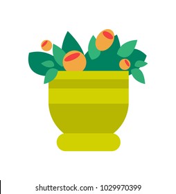 Pot with flowers and leaves, decorative elements and freshness at room, interior and greenery, object in blossom, isolated on vector illustration