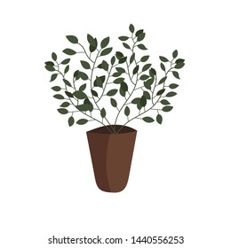 A pot of flowers on a white background.